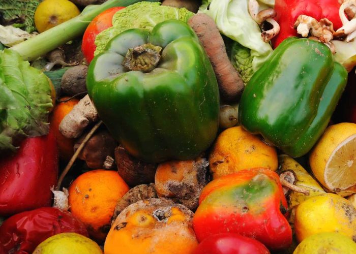 Picture of vegetables